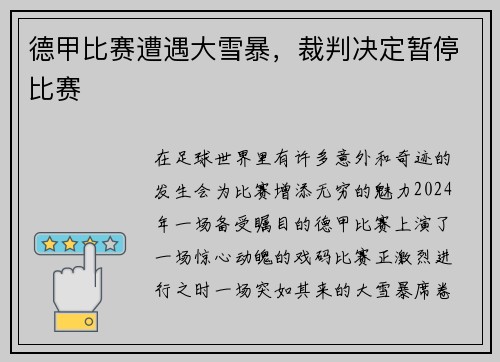 德甲比赛遭遇大雪暴，裁判决定暂停比赛